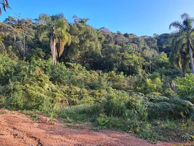 Imagem: Área Rural - Pedra Azul ! Area para Formar