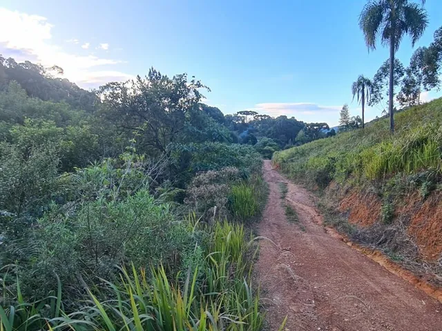 Imagem 15: Área Rural - Pedra Azul ! Area para Formar Chácara! **Oportunidade*