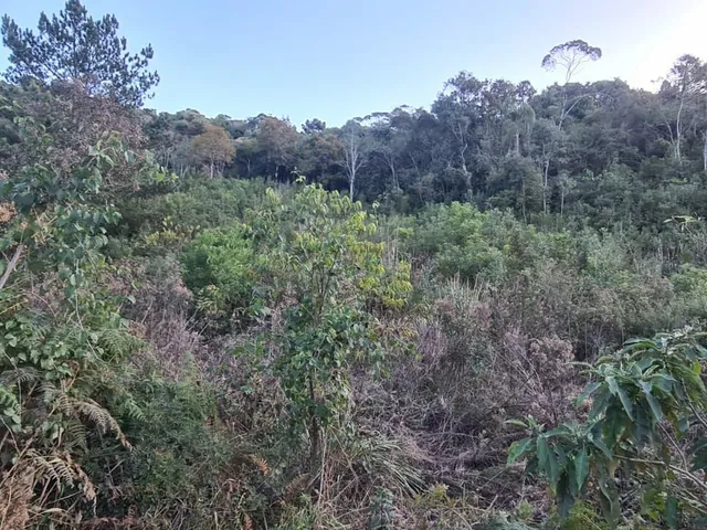 Imagem 4: Área Rural - Pedra Azul ! Area para Formar Chácara! **Oportunidade*