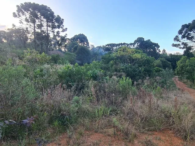 Imagem 11: Área Rural - Pedra Azul ! Area para Formar Chácara! **Oportunidade*