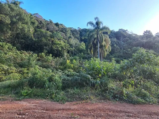 Imagem 2: Área Rural - Pedra Azul ! Area para Formar Chácara! **Oportunidade*