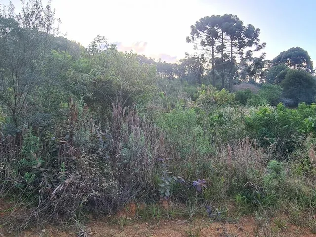 Imagem 13: Área Rural - Pedra Azul ! Area para Formar Chácara! **Oportunidade*