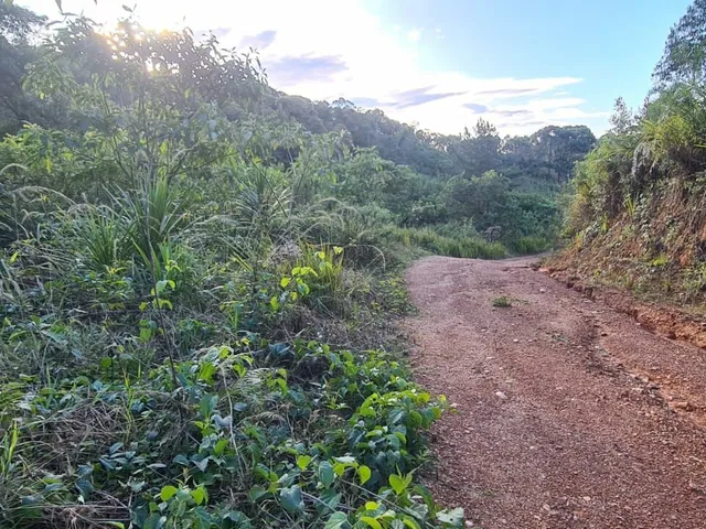 Imagem 8: Área Rural - Pedra Azul ! Area para Formar Chácara! **Oportunidade*