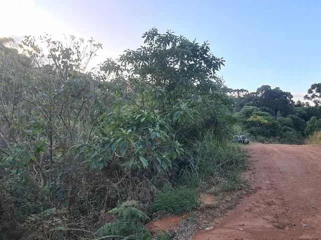 Imagem 3: Área Rural - Pedra Azul ! Area para Formar Chácara! **Oportunidade*