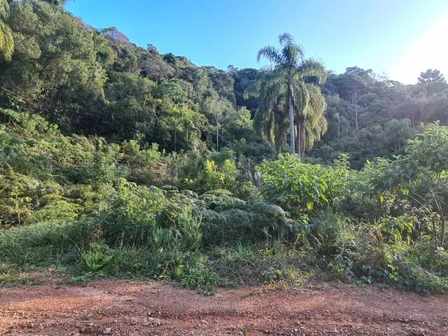 Imagem 14: Área Rural - Pedra Azul ! Area para Formar Chácara! **Oportunidade*