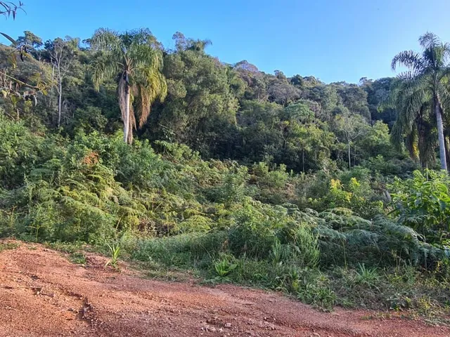 Imagem 16: Área Rural - Pedra Azul ! Area para Formar Chácara! **Oportunidade*