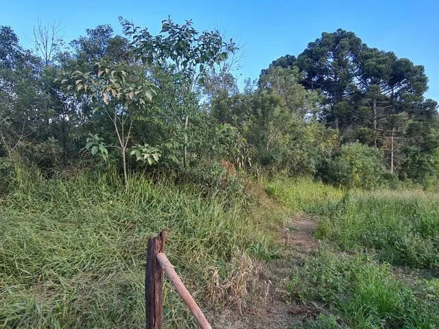 Imagem 12: Área Rural - Pedra Azul ! Area para Formar Chácara! **Oportunidade*