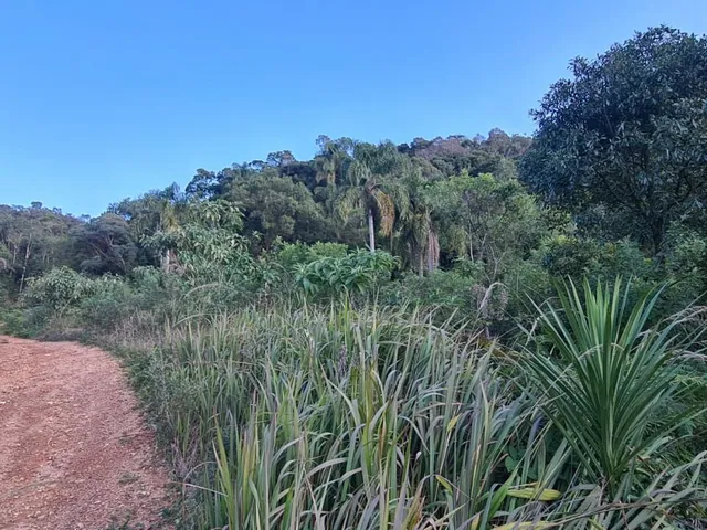 Imagem 9: Área Rural - Pedra Azul ! Area para Formar Chácara! **Oportunidade*