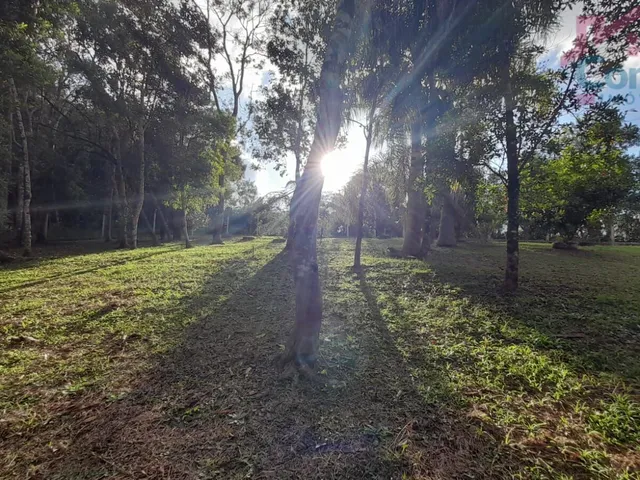 Imagem 5: Chácara 33.000M² - Bugre - Balsa Nova - Pr