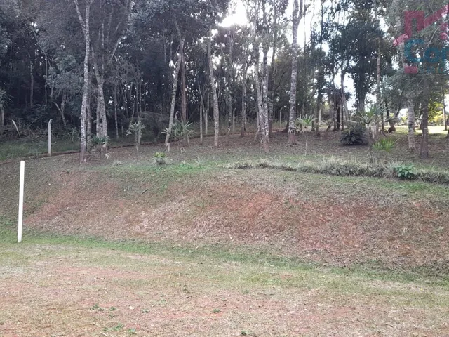 Imagem 4: Chácara 33.000M² - Bugre - Balsa Nova - Pr