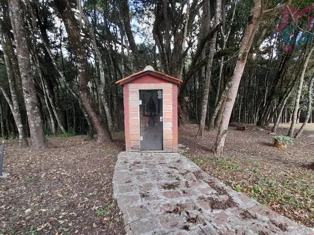Imagem 15: Chácara 33.000M² - Bugre - Balsa Nova - Pr