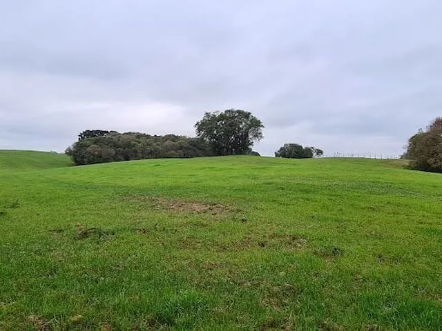Imagem 1: Área Residencial Para Empreendimento Imobiliário!