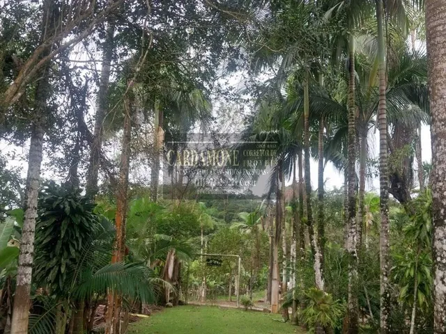 Imagem 9: Chácara À Venda, Pedro Barros Sp Cod: 6184 F:(11) 97302-9229 Cesar