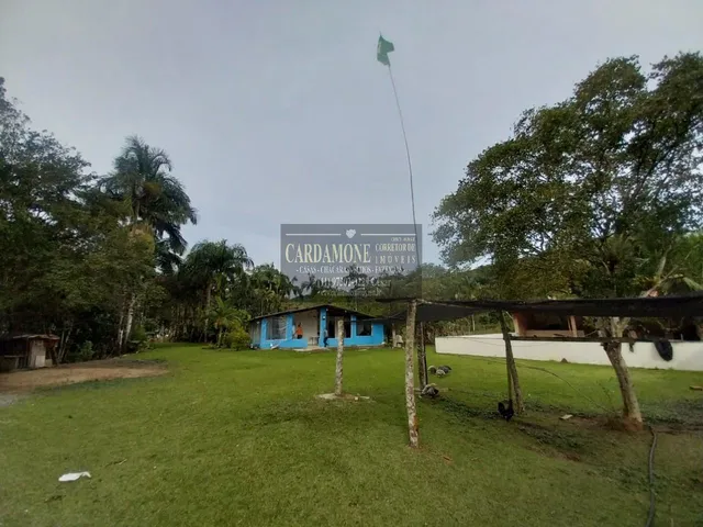 Imagem 5: Chácara À Venda, Pedro Barros Sp Cod: 6184 F:(11) 97302-9229 Cesar