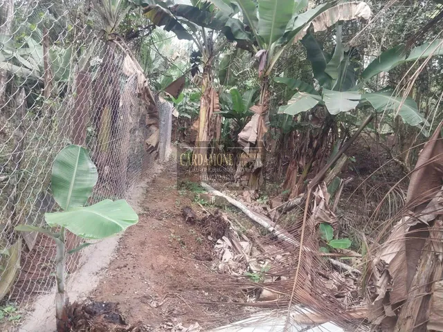 Imagem 3: Chácara À Venda, Pedro Barros Sp Cod: 6184 F:(11) 97302-9229 Cesar