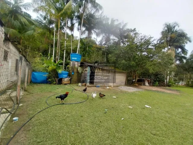 Imagem 7: Chácara À Venda, Pedro Barros Sp Cod: 6184 F:(11) 97302-9229 Cesar