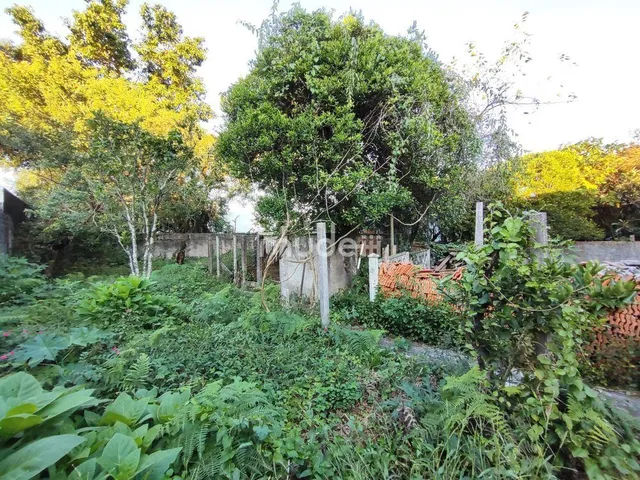 Imagem 12: Terreno no Boqueirão
