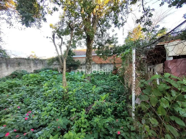 Imagem 10: Terreno no Boqueirão