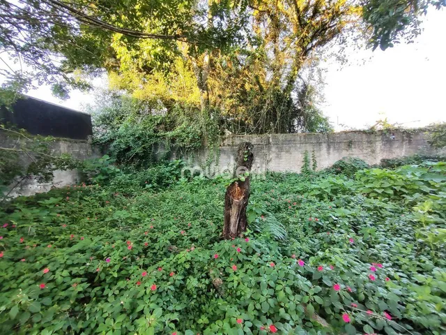 Imagem 7: Terreno no Boqueirão
