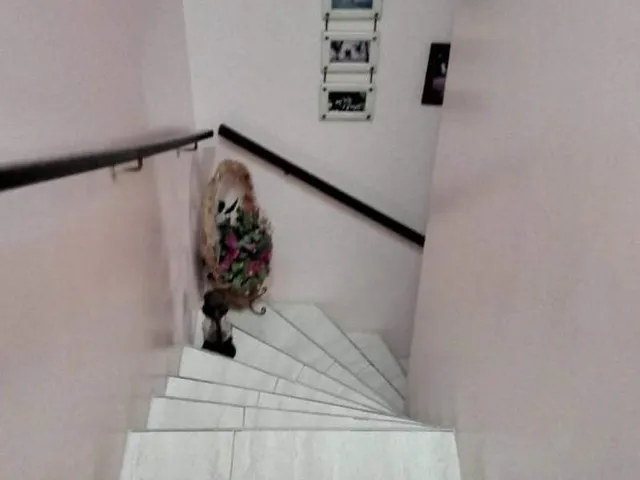 Imagem 11: 0 Casa com 2 dormitórios