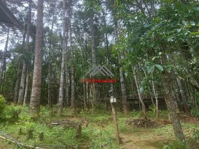 Imagem 8: Chácara À Venda em Pinhalzinho, Itapeva-Mg: 250M² de Área + Bosque, Mata Nativa e Corredeira. Aceita Permuta!