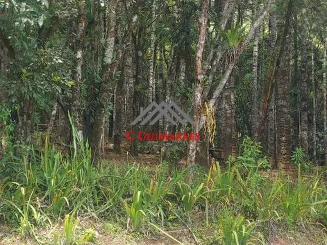 Imagem 12: Chácara À Venda em Pinhalzinho, Itapeva-Mg: 250M² de Área + Bosque, Mata Nativa e Corredeira. Aceita Permuta!