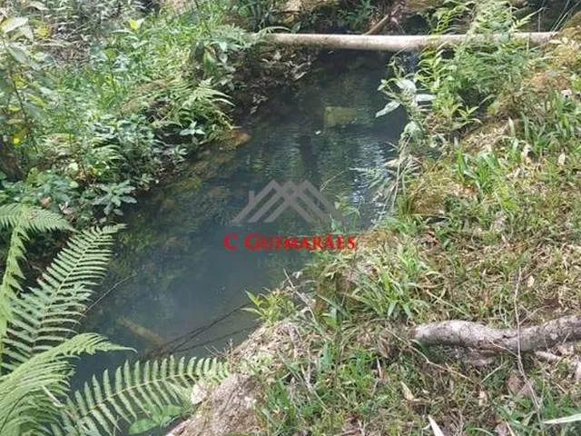 Imagem 4: Chácara À Venda em Pinhalzinho, Itapeva-Mg: 250M² de Área + Bosque, Mata Nativa e Corredeira. Aceita Permuta!