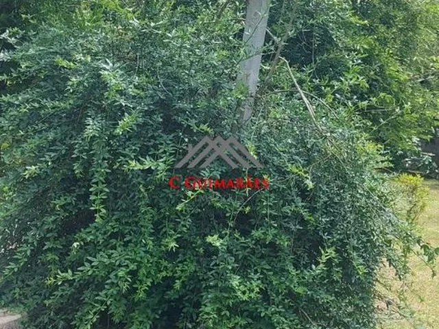 Imagem 16: Chácara À Venda em Pinhalzinho, Itapeva-Mg: 250M² de Área + Bosque, Mata Nativa e Corredeira. Aceita Permuta!