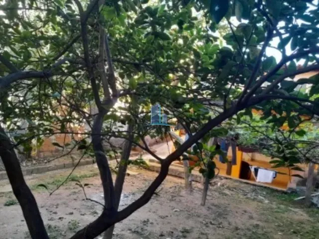 Imagem 10: Casa à venda em Contagem-MG, bairro Industrial: 3 quartos, 1 banheiro, 113m² de área