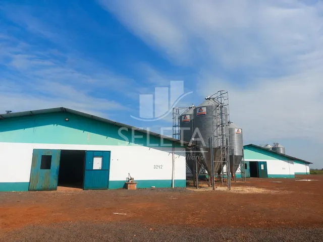 Imagem: Aviário à Venda com 3 Aviários Automatizados