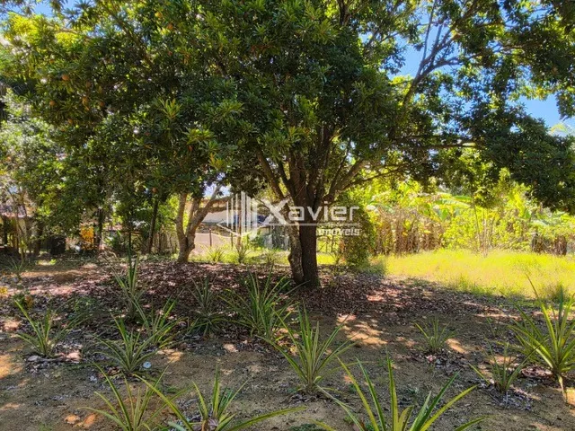 Imagem 15: Chácara à Venda com 5.000 m², Casa, Piscina e Área Gourmet, Próxima ao Termas