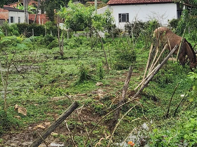 Imagem: Chácara À Venda - 8.160 M² - Excelente