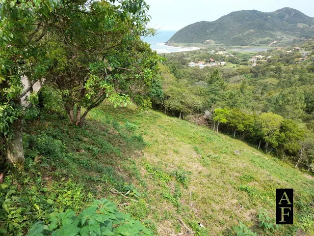 Imagem 3: Terreno Praia do Silveira com Vista Ao Mar e Fácil Acesso Ao Centro
