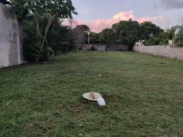 Imagem 2: Terreno em BUSCA VIDA