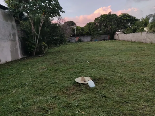 Imagem 3: Terreno em BUSCA VIDA