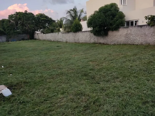 Imagem 4: Terreno em BUSCA VIDA