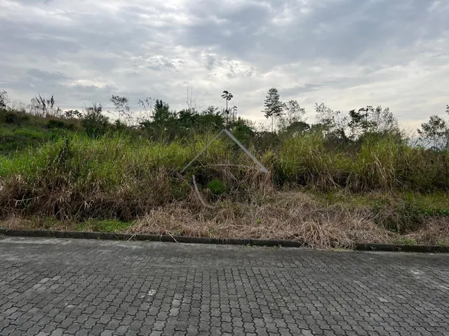 Imagem 6: Terreno À Venda, Vila Izabel, Corupa - Sc