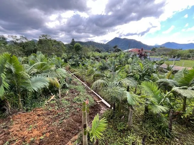 Imagem 16: Chácara à venda, DUAS MAMAS, SCHROEDER - SC
