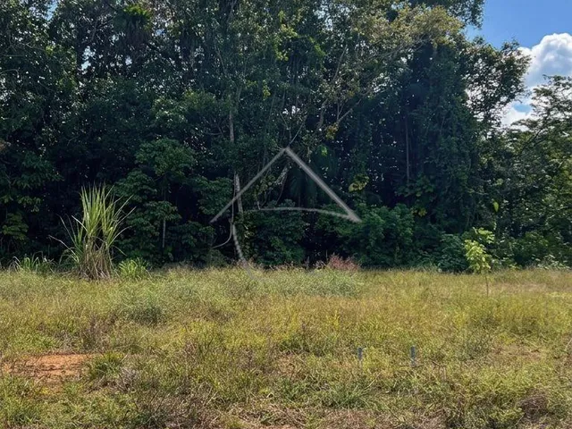 Imagem 3: Terreno À Venda, Centro Norte, Schroeder- Sc