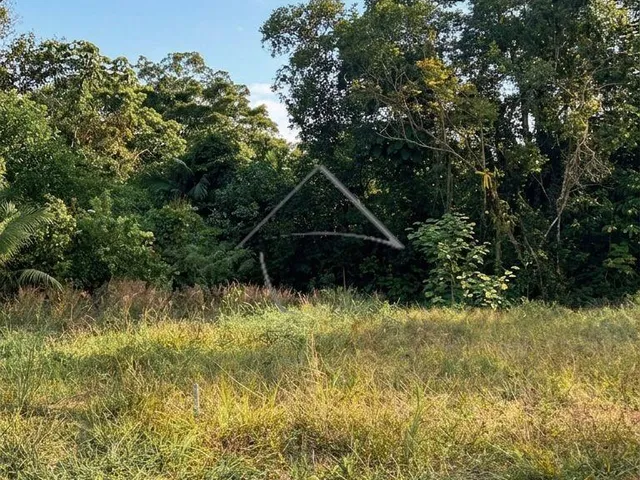 Imagem 10: Terreno À Venda, Centro Norte, Schroeder- Sc