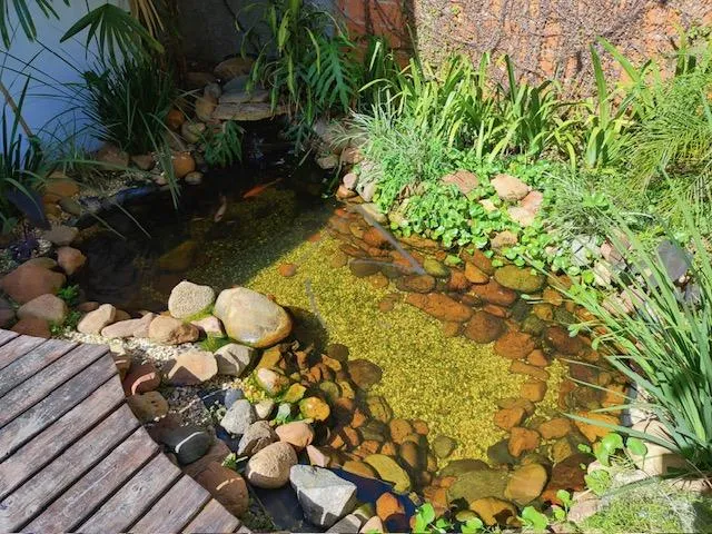 Imagem 3: Casa À Venda, Rau, Jaragua do Sul - Sc