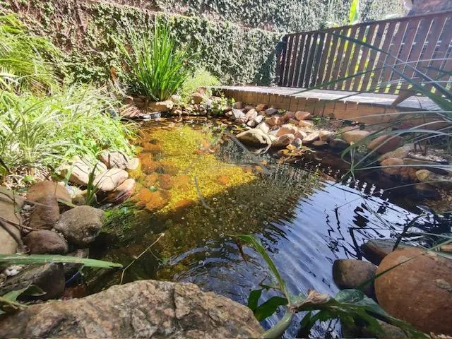 Imagem 16: Casa À Venda, Rau, Jaragua do Sul - Sc