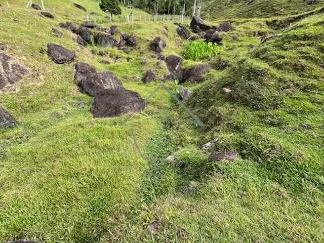 Imagem 13: Chácara À Venda, Garibaldi, Jaragua do Sul - Sc