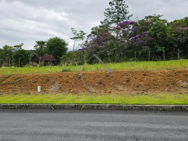 Imagem 2: Terreno À Venda, Centro, Schroeder - Sc