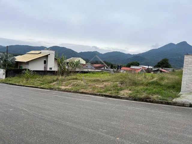 Imagem 4: Terreno À Venda, Schroeder I, Schroeder - Sc