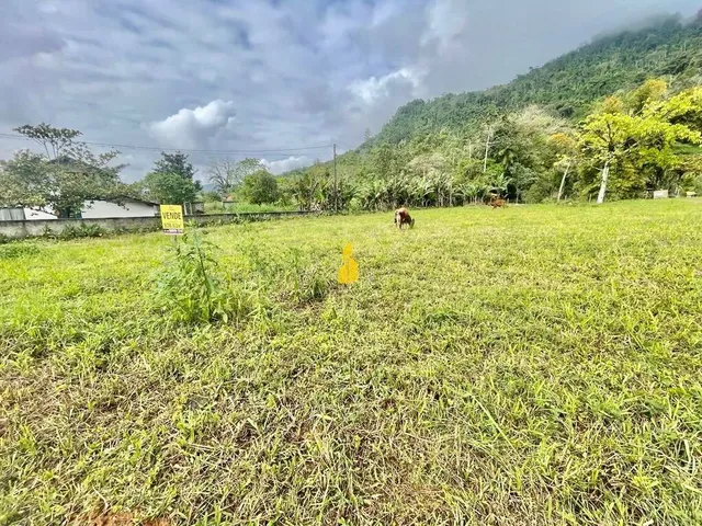 Imagem: Terreno à venda no bairro Padre Martinho