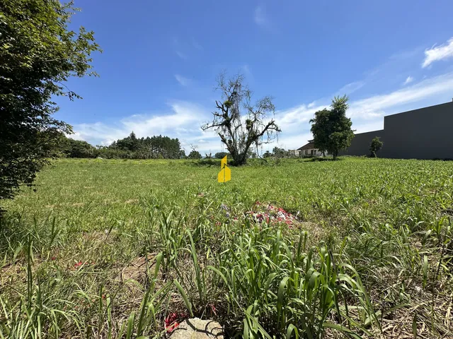 Imagem 5: Terreno no Bairro das Nações