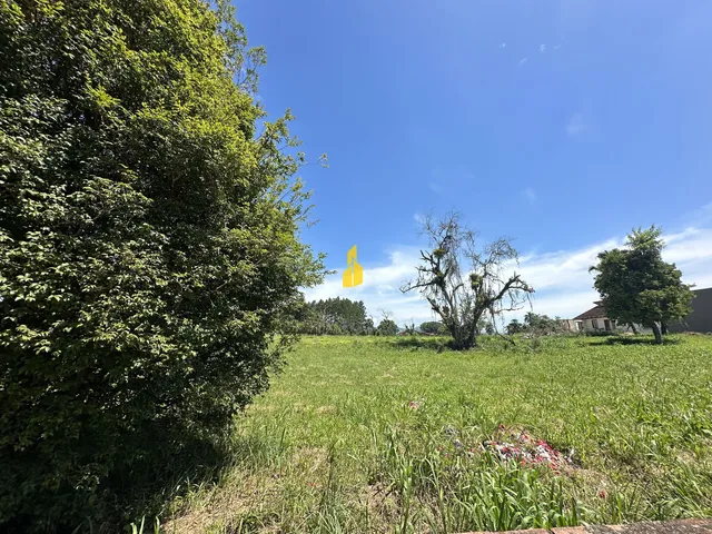 Imagem 2: Terreno no Bairro das Nações