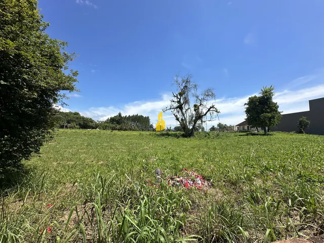 Imagem 4: Terreno no Bairro das Nações