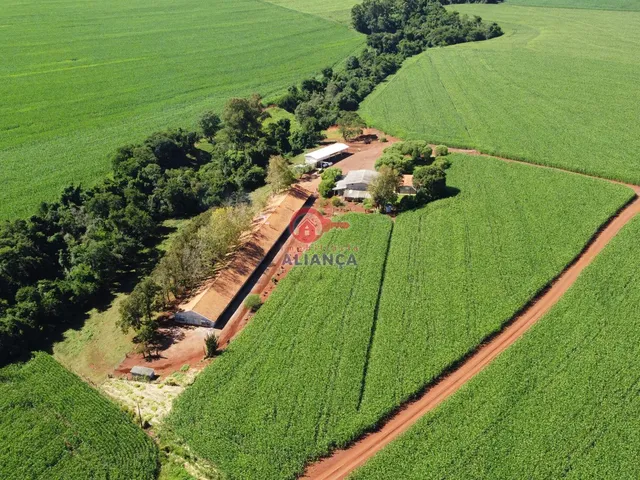 Imagem 3: Chácara à venda, BR, TOLEDO - PR